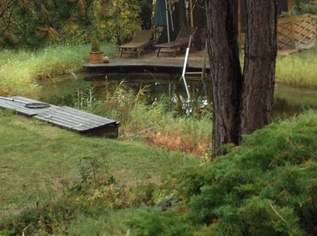 Ruhelage, 1290000 €, Immobilien-Häuser in 2500 Gemeinde Baden