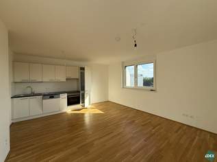 Wunderschöne 3-Zimmer Wohnung mit großer Terrasse, 1149 €, Immobilien-Wohnungen in 1200 Brigittenau