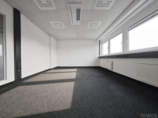 88m² Büro | 3 Zimmer, Empfang & Teeküche | Parkplätze | IZ-Süd, 1098.5 €, Immobilien-Gewerbeobjekte in 2351 Gemeinde Wiener Neudorf