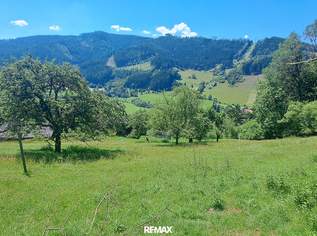 Sonniges Baugrundstück in Panoramalage Nähe LKH Bruck/Mur, 92000 €, Immobilien-Grund und Boden in 8605 Arndorf Sonniges Baugrundstück in Panoramalage Nähe LKH Bruck/Mur, 92000 €, Immobilien-Grund und Boden in 8605 Arndorf