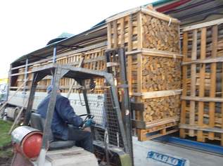 Trockenes Brennholz und von Qualität