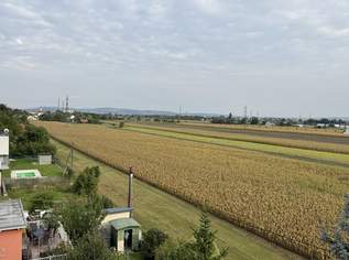 Familienwohnung in Bisamberg, 278000 €, Immobilien-Wohnungen in 2102 Bisamberg