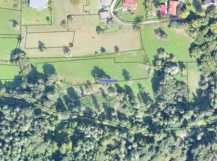 Landiwrtschaftliche Flächen in Jaunstein/Globasnitz - 1,7 ha Wiese, Weide, Wald, 255180 €, Immobilien-Grund und Boden in 9142 Globasnitz