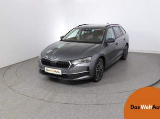 Octavia Selection TSI mHEV DSG, 36490 €, Auto & Fahrrad-Autos in 8041 Liebenau Octavia Selection TSI mHEV DSG, 36490 €, Auto & Fahrrad-Autos in 8041 Liebenau