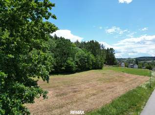 „Sonnige Baugrundstücke im Südburgenland in ruhiger Waldrandlage“, 120000 €, Immobilien-Grund und Boden in 7533 Ollersdorf im Burgenland „Sonnige Baugrundstücke im Südburgenland in ruhiger Waldrandlage“, 120000 €, Immobilien-Grund und Boden in 7533 Ollersdorf im Burgenland