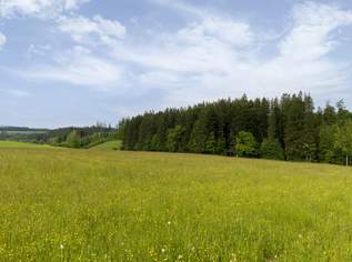 Landwirtschaftliche Flächen, 980000 €, Immobilien-Grund und Boden in 4890 Frankenmarkt