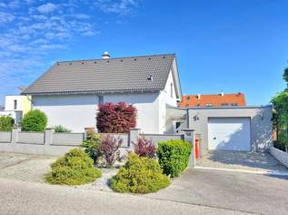 PALMEN, POOL und BARBEQUE, 695000 €, Immobilien-Häuser in 2440 Gemeinde Gramatneusiedl PALMEN, POOL und BARBEQUE, 695000 €, Immobilien-Häuser in 2440 Gemeinde Gramatneusiedl