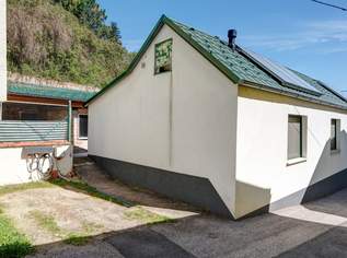 Wohnen im Grünen: Einfamilienhaus mit eigenem Wald & viel Platz, 229000 €, Immobilien-Häuser in 2262 Stillfried