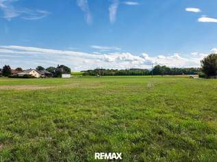 Baugrundstück im Grünen, 197825 €, Immobilien-Grund und Boden in 4661 Roitham Baugrundstück im Grünen, 197825 €, Immobilien-Grund und Boden in 4661 Roitham
