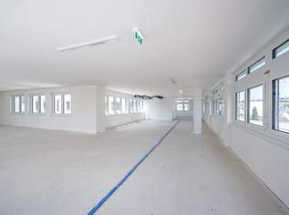 Erstbezug: Moderne Bürofläche in Hietzinger Bestlage, 5727.57 €, Immobilien-Gewerbeobjekte in 1130 Hietzing