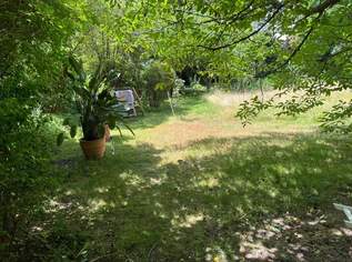 "RUHIGE Lage mit GARTEN-benutzung", 360000 €, Immobilien-Wohnungen in 1130 Hietzing