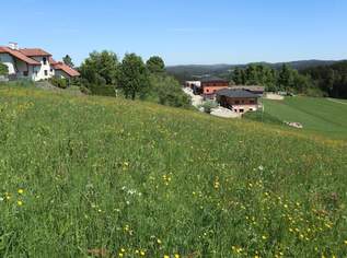 Baugrund in Dorfrandlage, 46544.89 €, Immobilien-Grund und Boden in 4252 Liebenau