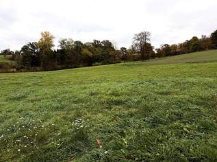Landwirtschaftliche Fläche zwischen Fraham und Scharten zu verkaufen, 136900 €, Immobilien-Gewerbeobjekte in 4070 Fraham Landwirtschaftliche Fläche zwischen Fraham und Scharten zu verkaufen, 136900 €, Immobilien-Gewerbeobjekte in 4070 Fraham
