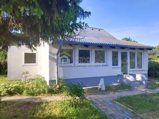 Entzückendes komplett saniertes Kleingartenhaus auf Eigengrund mit wunderbarem Garten in Ruhelage, 239900 €, Immobilien-Häuser in 2410 Gemeinde Hainburg an der Donau Entzückendes komplett saniertes Kleingartenhaus auf Eigengrund mit wunderbarem Garten in Ruhelage, 239900 €, Immobilien-Häuser in 2410 Gemeinde Hainburg an der Donau