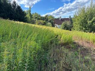KAPITALANLAGE - Grundstück ohne Bauzwang nahe Schärding, 105925 €, Immobilien-Grund und Boden in 4782 St. Florian am Inn KAPITALANLAGE - Grundstück ohne Bauzwang nahe Schärding, 105925 €, Immobilien-Grund und Boden in 4782 St. Florian am Inn