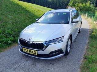 Octavia Combi 2,0 TDI 4x4 DSG Finanzierung möglich, 28990 €, Auto & Fahrrad-Autos in 3345 Gemeinde Göstling an der Ybbs Octavia Combi 2,0 TDI 4x4 DSG Finanzierung möglich, 28990 €, Auto & Fahrrad-Autos in 3345 Gemeinde Göstling an der Ybbs