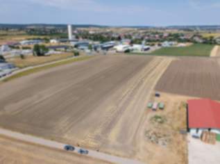 Landwirtschaftliches Grundstück in der KG Auersthal - 4306m2, 30142 €, Immobilien-Gewerbeobjekte in 2214 Auersthal