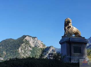 ***** DRINGEND GESUCHT - HÄUSER, WOHNUNGEN, GRUNDSTÜCKE *****, 0 €, Immobilien-Häuser in 8042 ***** DRINGEND GESUCHT - HÄUSER, WOHNUNGEN, GRUNDSTÜCKE *****, 0 €, Immobilien-Häuser in 8042