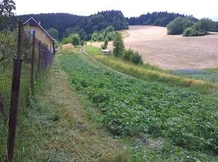 SLOWAKEI-Anteile an Baugrundstücken, Ackerland, Wiese, Wald