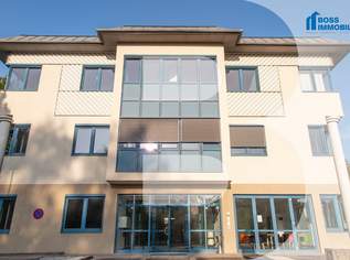 Basislager für Aufsteiger, 207 €, Immobilien-Gewerbeobjekte in 4600 Thalheim bei Wels