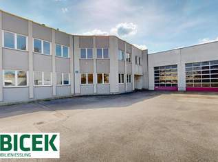Betriebsobjekt nähe City Gate, 5550 €, Immobilien-Gewerbeobjekte in 1220 Donaustadt