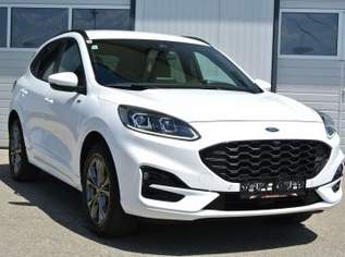 Kuga 2.5 DURATEC PHEV ** ST-LINE X * LED *KAMERA, 20900 €, Auto & Fahrrad-Autos in 4693 Desselbrunn