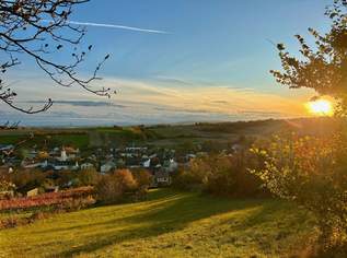 Ihr neues Zuhause im Grünen - Einfamilienhaus mit viel Platz im Freien!, 399000 €, Immobilien-Häuser in 2122 Münichsthal Ihr neues Zuhause im Grünen - Einfamilienhaus mit viel Platz im Freien!, 399000 €, Immobilien-Häuser in 2122 Münichsthal