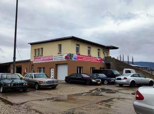 Autowerkstatt in Neunkirchen – Bestehender Betrieb mit voll ausgestattetem Gebäude zu verkaufen!, 299000 €, Immobilien-Gewerbeobjekte in 2620 Gemeinde Neunkirchen