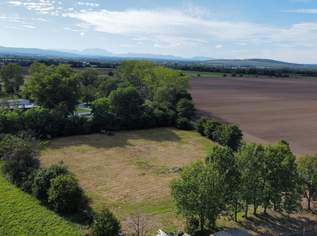 Einmalige Gelegenheit: Grundstück umgeben von Äckern mit Baulandanteil und Weitblick, 149900 €, Immobilien-Grund und Boden in 7011 Siegendorf Einmalige Gelegenheit: Grundstück umgeben von Äckern mit Baulandanteil und Weitblick, 149900 €, Immobilien-Grund und Boden in 7011 Siegendorf