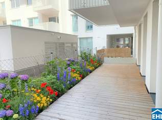 Schöne 2 Zimmer Terrassenwohnung mit Terrasse in Ottakring, 979.99 €, Immobilien-Wohnungen in 1160 Ottakring