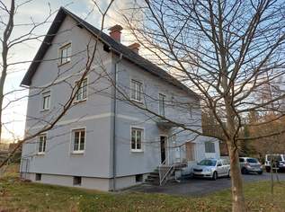 Einzigartiges, schönes und großzügiges Haus mit 62m² ehem. Schmiede, mit schönem ebenen Grund, in begehrter Lage, 520000 €, Immobilien-Häuser in 8111 Judendorf