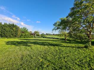 Exklusives Grundstück in Breitenbrunn, SEEBLICK, 459000 €, Immobilien-Grund und Boden in 7091 Gemeinde Breitenbrunn