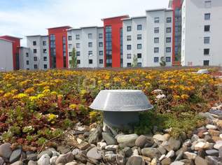 Top-gepflegtes Mehrfamilienhaus in Köflach, 5 Zimmer, 3 Bäder, Ihr Renditeobjekt!, 210000 €, Immobilien-Häuser in 8580 Köflach Top-gepflegtes Mehrfamilienhaus in Köflach, 5 Zimmer, 3 Bäder, Ihr Renditeobjekt!, 210000 €, Immobilien-Häuser in 8580 Köflach