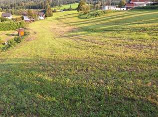 Baugrund   Randlage kein Bauzwang 110 km von wienvon wien Südautobahn S6 direkt erreichbar