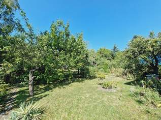 DB IMMOBILIEN | Gartenparadies mit Altbestand !!!, 590000 €, Immobilien-Grund und Boden in 2380 Gemeinde Perchtoldsdorf