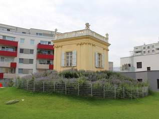Suchst Du noch, oder Parkst Du schon?, 85 €, Immobilien-Kleinobjekte & WGs in 2320 Schwechat