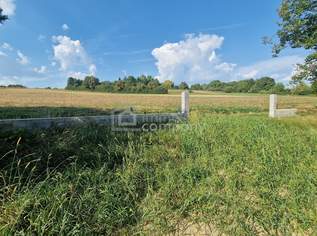 Preisreduktion! Großer Grund - Bauland Misch + GHg – 4134m² Gewerbe + Wohnen + Garten, 110000 €, Immobilien-Grund und Boden in 7443 Liebing