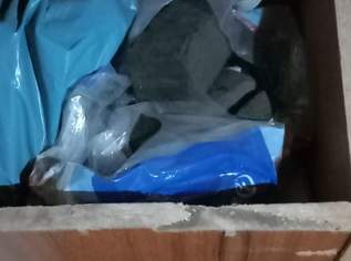 Kohle zu verkaufen – 200 € 