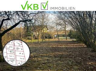 Großzügiges Grundstück in Spattendorf - Gemeinde Alberndorf in der Riedmark (GST 2443/1), 230000 €, Immobilien-Grund und Boden in 4211 Spattendorf