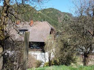 Großzügige Liegenschaft mit über 5 Hektar Grund in Pernegg – Wohnhaus, Nebengebäude & enormes Potenzial, 699000 €, Immobilien-Häuser in 8131 Röthelstein