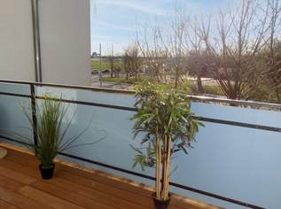 Stylische Terrassenwohnung, 849.13 €, Immobilien-Wohnungen in 1220 Donaustadt Stylische Terrassenwohnung, 849.13 €, Immobilien-Wohnungen in 1220 Donaustadt