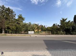 BAUGRUND IN BAUMGARTEN – 2 Baugrundstücke mit 631 m² & 633 m² | auch gemeinsam erwerbbar, 240000 €, Immobilien-Grund und Boden in 3441 Baumgarten am Tullnerfeld BAUGRUND IN BAUMGARTEN – 2 Baugrundstücke mit 631 m² & 633 m² | auch gemeinsam erwerbbar, 240000 €, Immobilien-Grund und Boden in 3441 Baumgarten am Tullnerfeld