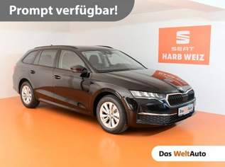 Octavia Selection TDI DSG, 30230 €, Auto & Fahrrad-Autos in 8160 Weiz