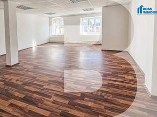 Raum für Visionen – in historischer Umgebung, 923 €, Immobilien-Gewerbeobjekte in 4050 Traun