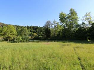 Baugrundstück mit See-Nähe und vielseitigen Nutzungsmöglichkeiten, 487000 €, Immobilien-Grund und Boden in 9081 Reifnitz Baugrundstück mit See-Nähe und vielseitigen Nutzungsmöglichkeiten, 487000 €, Immobilien-Grund und Boden in 9081 Reifnitz