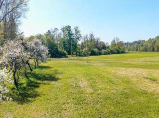 Ebene landwirtschaftliche Flächen an der Alm, 220000 €, Immobilien-Grund und Boden in 4643 Mitterndorf