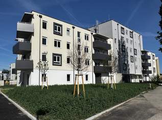ERSTBEZUG in Wiener Neustadt – hochwertige 3-Zimmer-Wohnung mit Balkon und Tiefgarage im „ein viertel grün“, 909.14 €, Immobilien-Wohnungen in Niederösterreich
