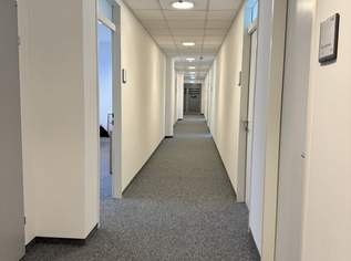 66,21 m² - Ein Raum, unzählige Möglichkeiten! - Planer-/ Agentur-/ Architektenbüro - Tolle Bürofläche im 11. Bezirk zu vermieten, 1165.27 €, Immobilien-Gewerbeobjekte in 1110 Simmering