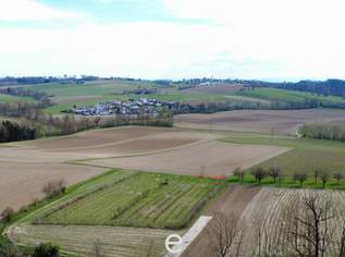 4,2 ha Ackerland in Straßham (nähe Alkoven) zu verkaufen!, 850000 €, Immobilien-Grund und Boden in 4072 Alkoven