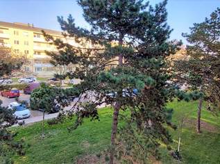 Ein Katzensprung zur U2 und zum Mühlwasser!, 999.85 €, Immobilien-Wohnungen in 1220 Donaustadt